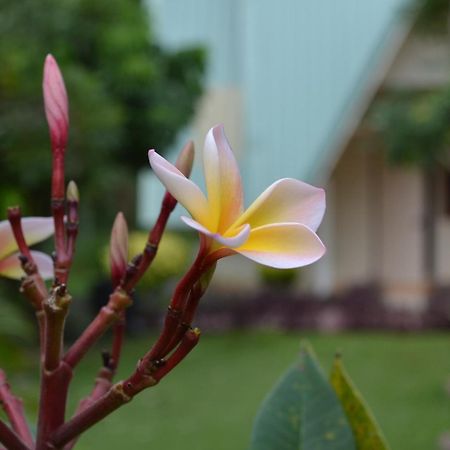 Touch Star Resort - Doi Inthanon Chom Thong Ngoại thất bức ảnh