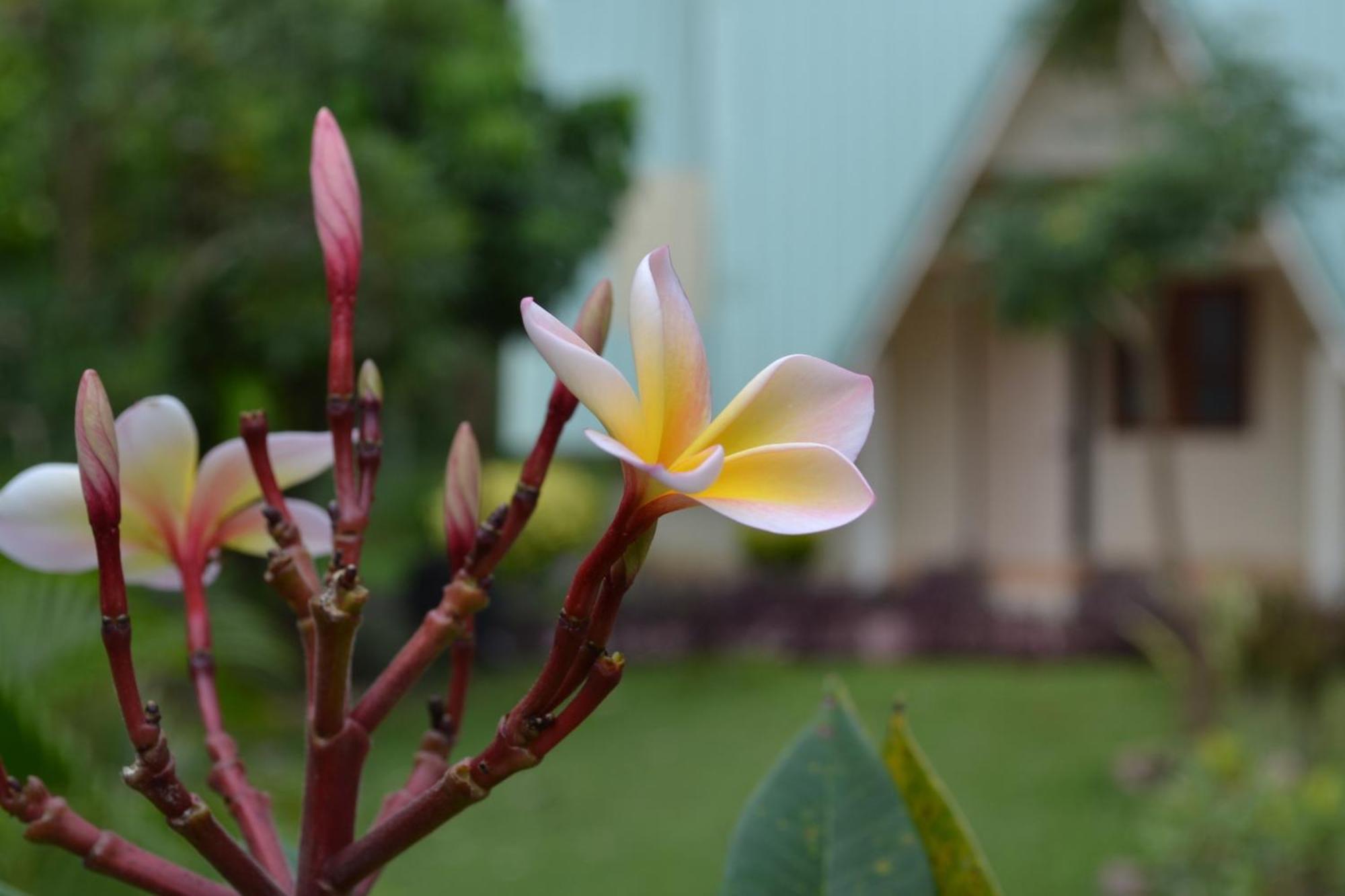 Touch Star Resort - Doi Inthanon Chom Thong Ngoại thất bức ảnh