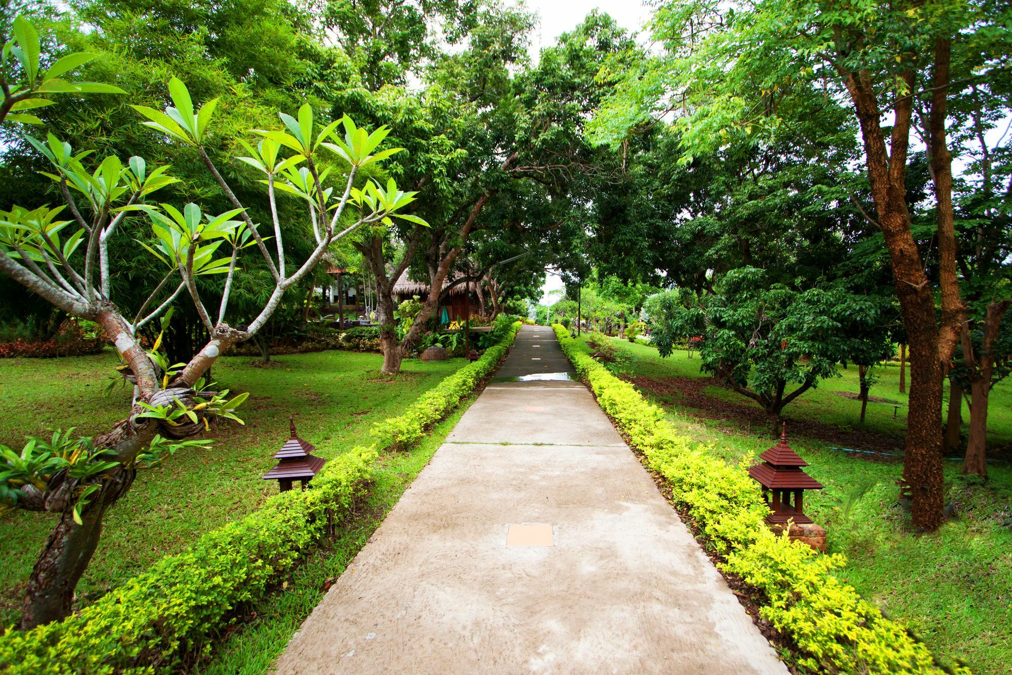 Touch Star Resort - Doi Inthanon Chom Thong Ngoại thất bức ảnh