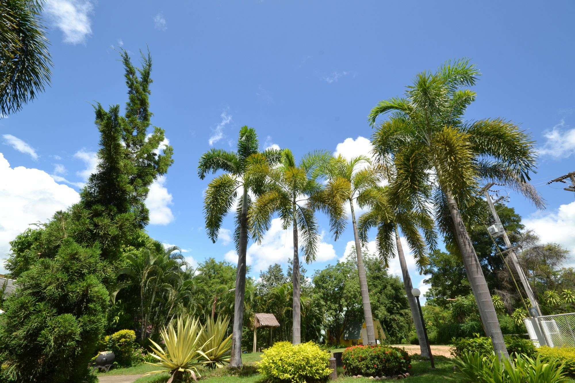 Touch Star Resort - Doi Inthanon Chom Thong Ngoại thất bức ảnh